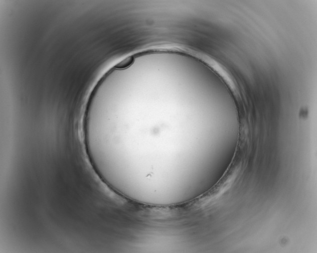 X0000103280959200809191803