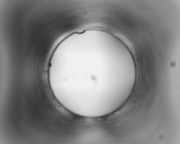 X0000103280960200809191803