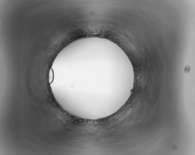 X0000103280961200809191802