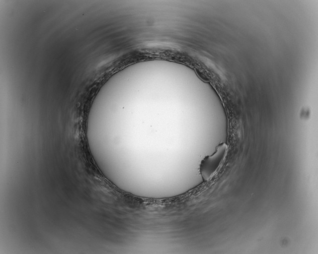 X0000103280965200809191802