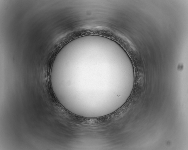 X0000103280966200809191802