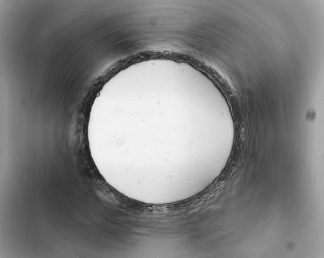 X0000103280968200809191802