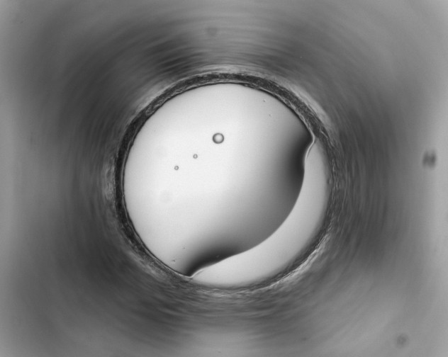 X0000103280969200809191802