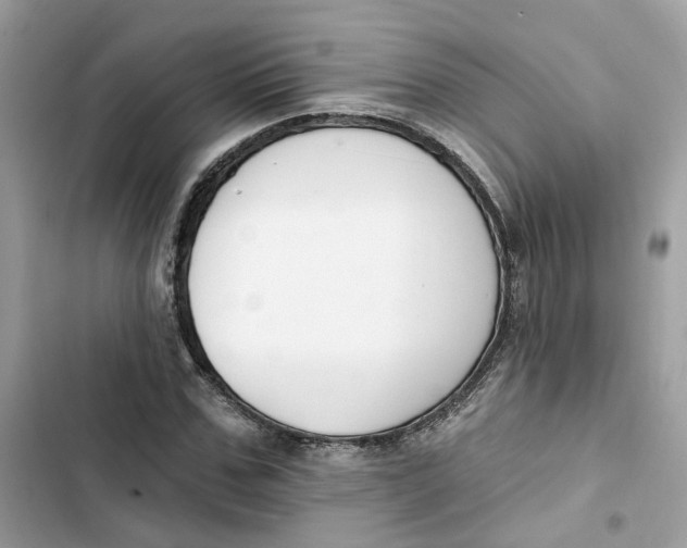 X0000103280971200809191802