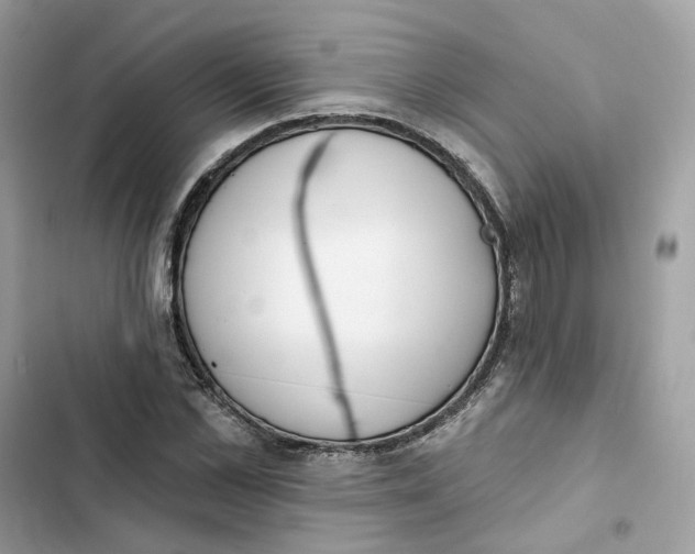 X0000103280973200809191802