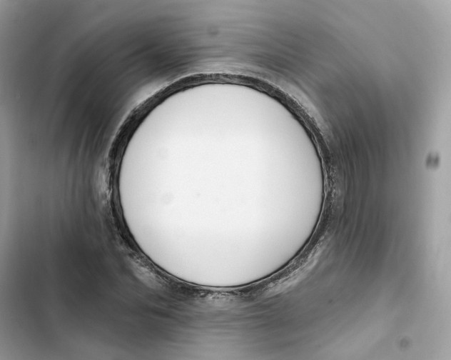 X0000103280974200809191802