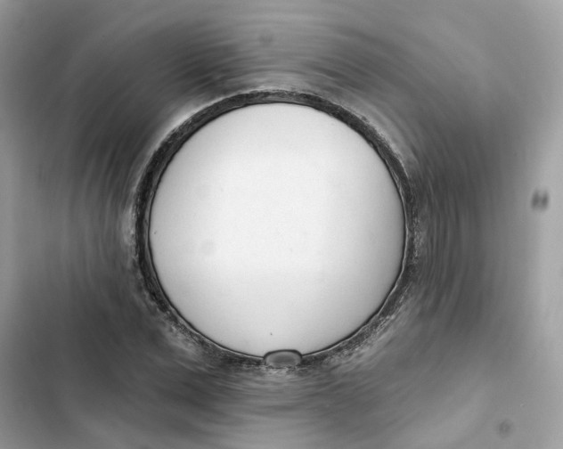 X0000103280975200809191802