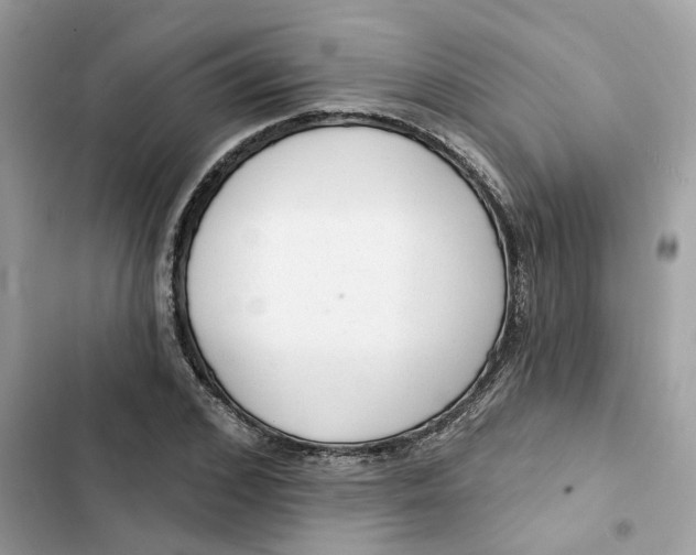 X0000103280976200809191802