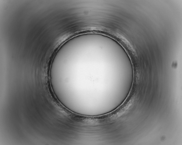 X0000103280977200809191802