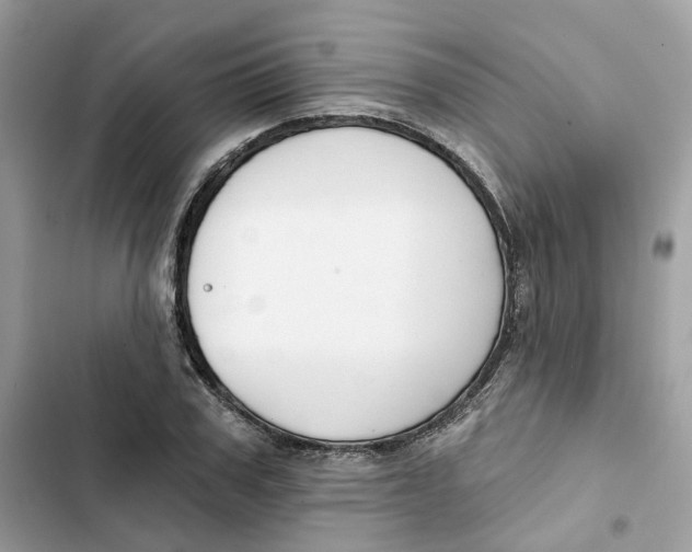 X0000103280979200809191802