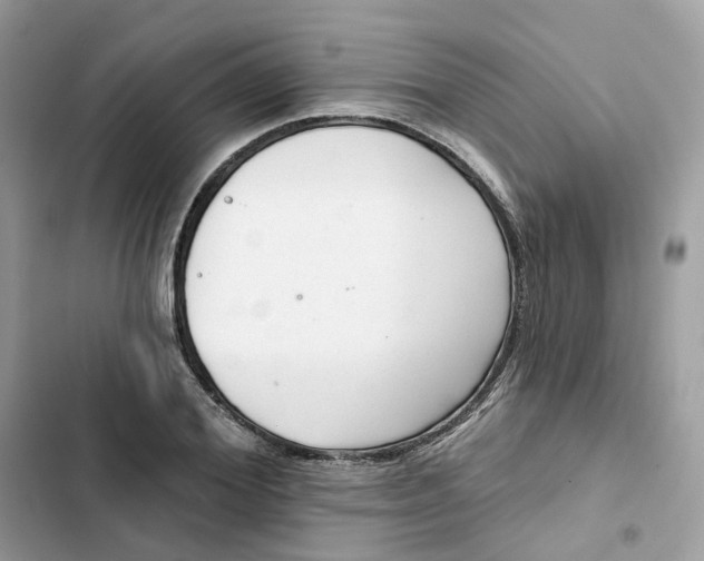 X0000103280980200809191802