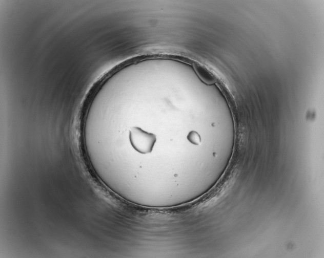 X0000103280981200809191802