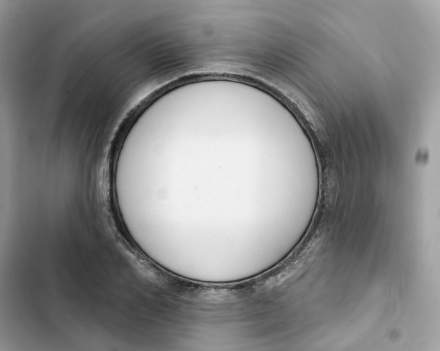 X0000103280982200809191802