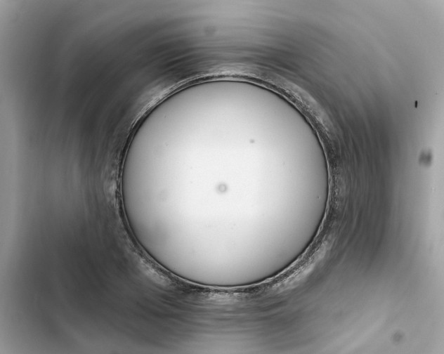 X0000103280985200809191802