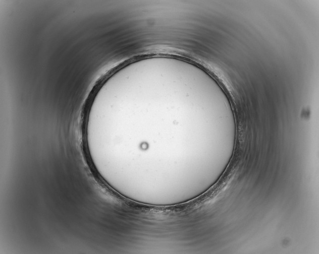 X0000103280987200809191802