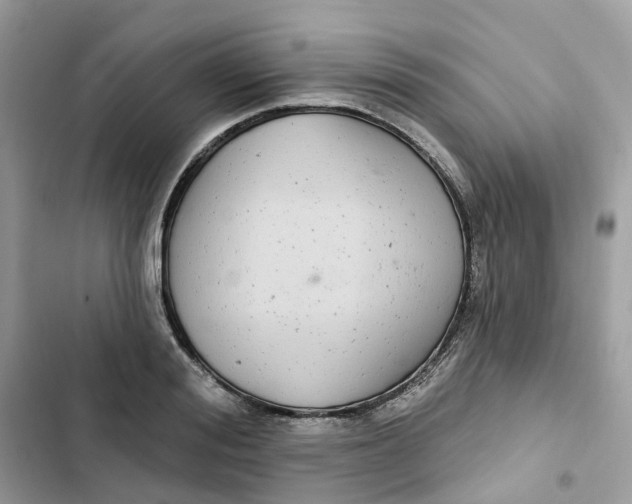 X0000103280988200809191802