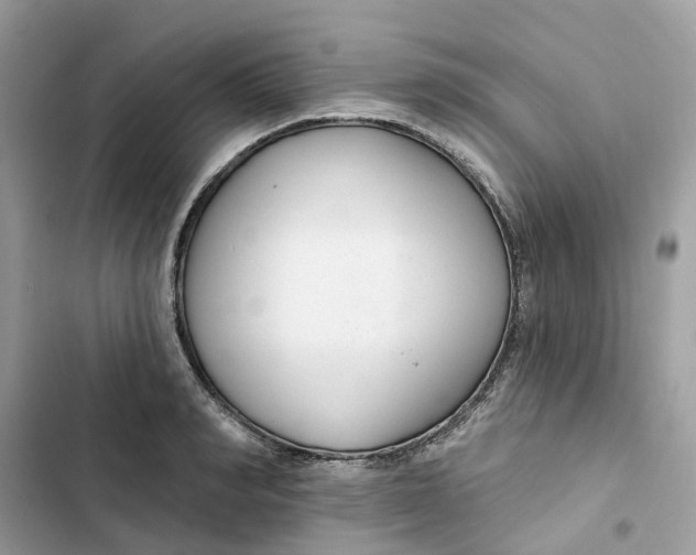 X0000103280990200809191802