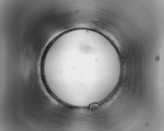 X0000103280991200809191802