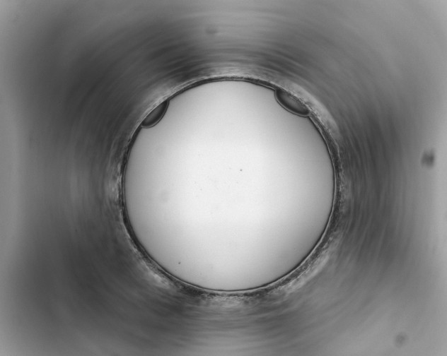 X0000103280993200809191802