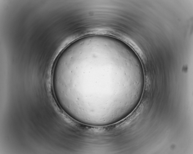 X0000103280994200809191802