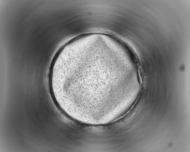 X0000103280995200809191802