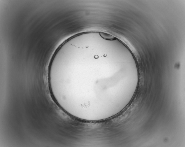 X0000103280996200809191802