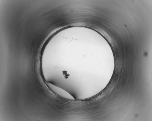 X0000103281000200809191802