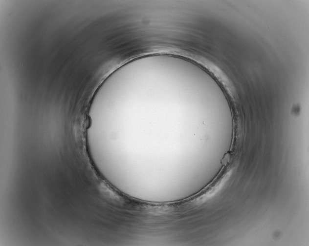 X0000103281001200809191802