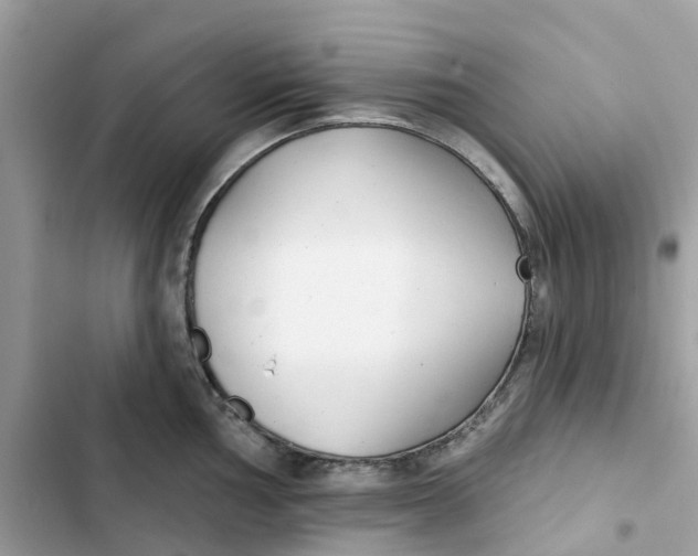 X0000103281002200809191802