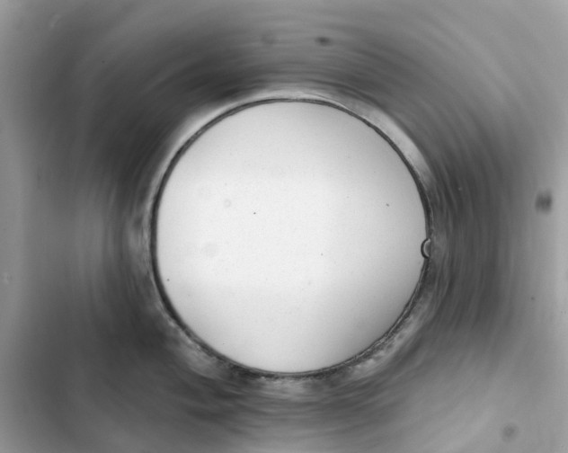 X0000103281004200809191802