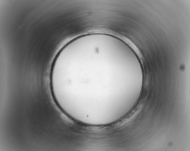 X0000103281005200809191802