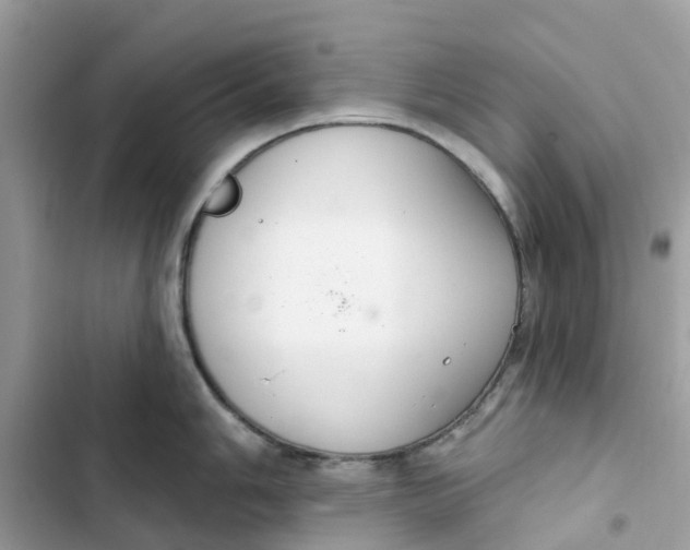 X0000103281006200809191802