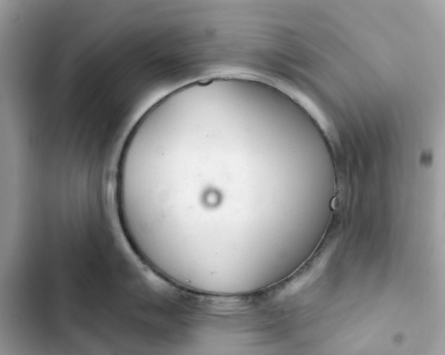 X0000103281007200809191802