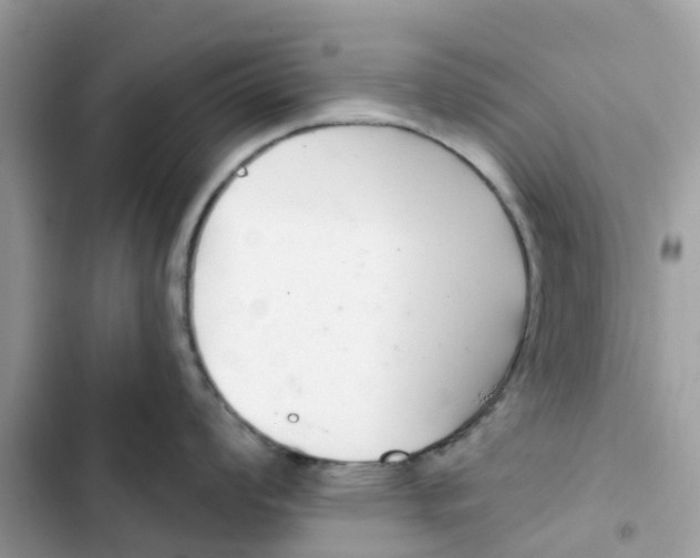 X0000103281008200809191802