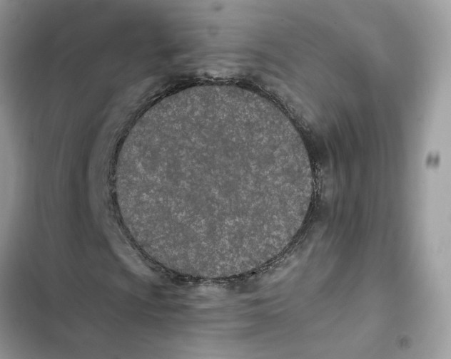 X0000103281009200809191801