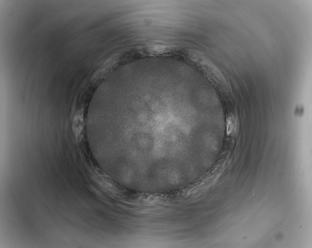 X0000103281011200809191801