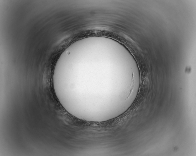 X0000103281014200809191801