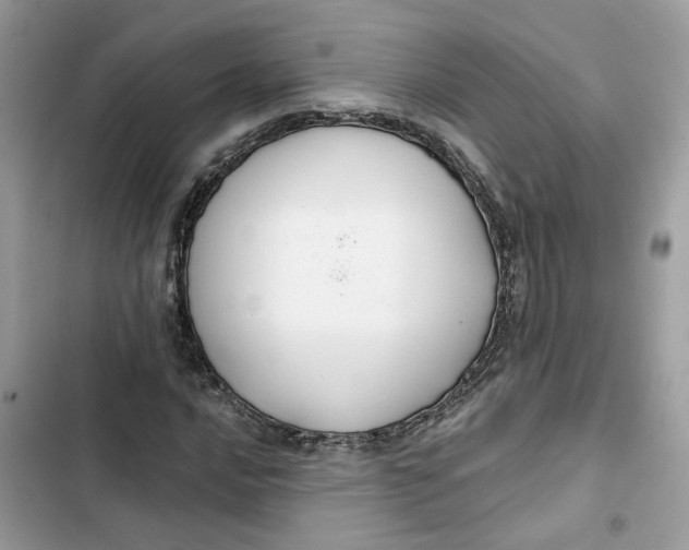 X0000103281016200809191801