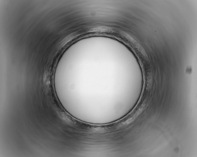 X0000103281017200809191801