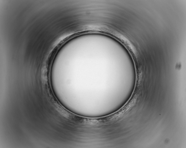 X0000103281019200809191801