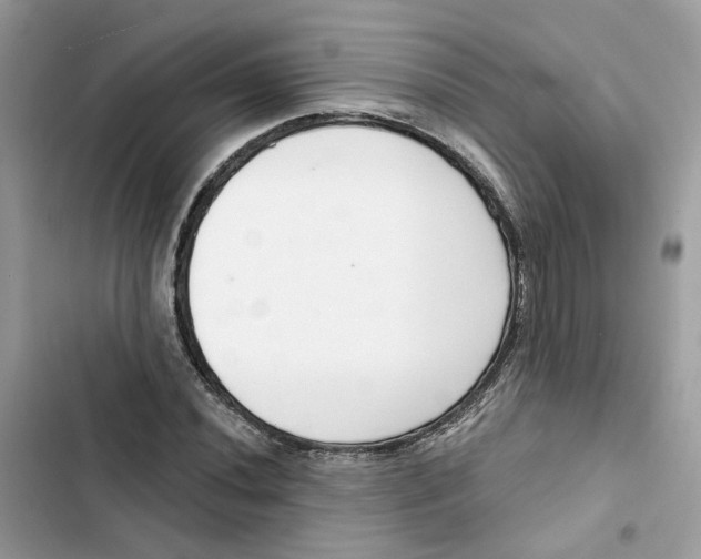 X0000103281020200809191801