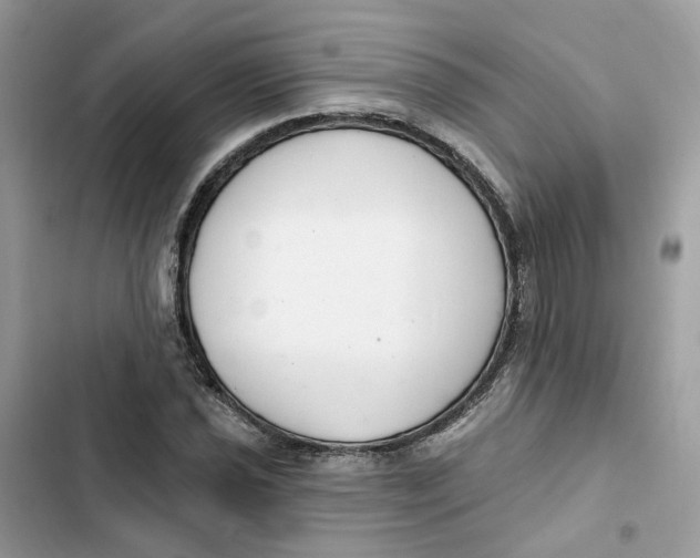 X0000103281021200809191801