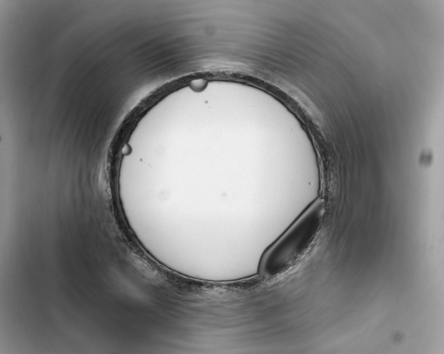 X0000103281022200809191801