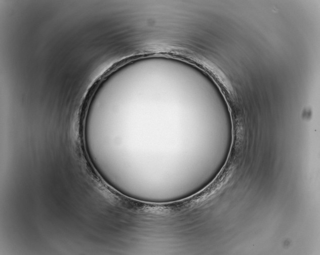 X0000103281023200809191801