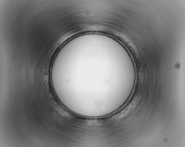 X0000103281025200809191801