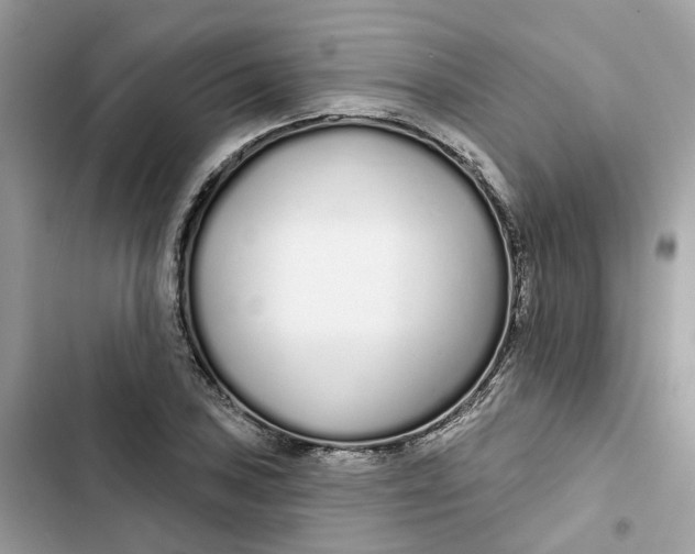 X0000103281027200809191801