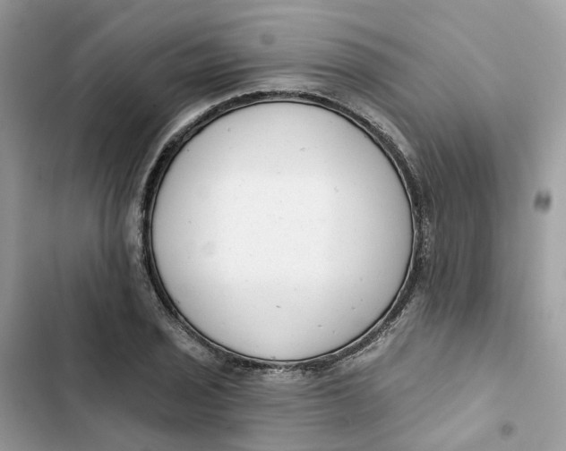 X0000103281029200809191801