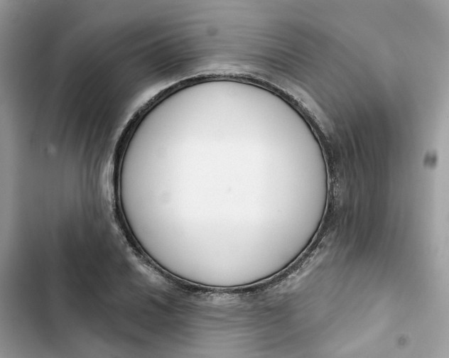 X0000103281030200809191801