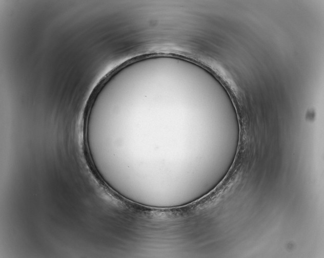 X0000103281032200809191801