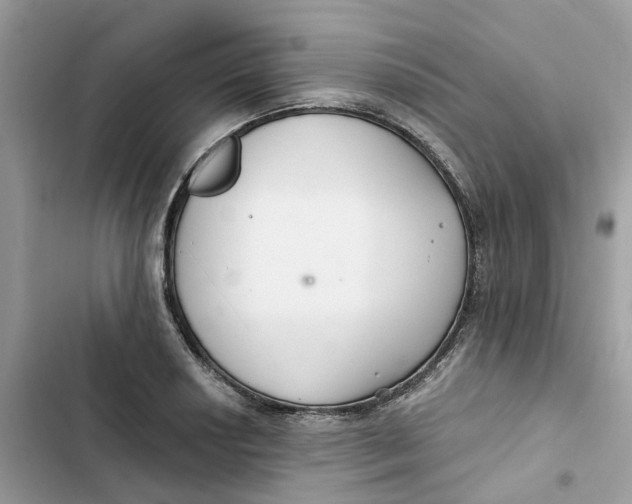 X0000103281034200809191801